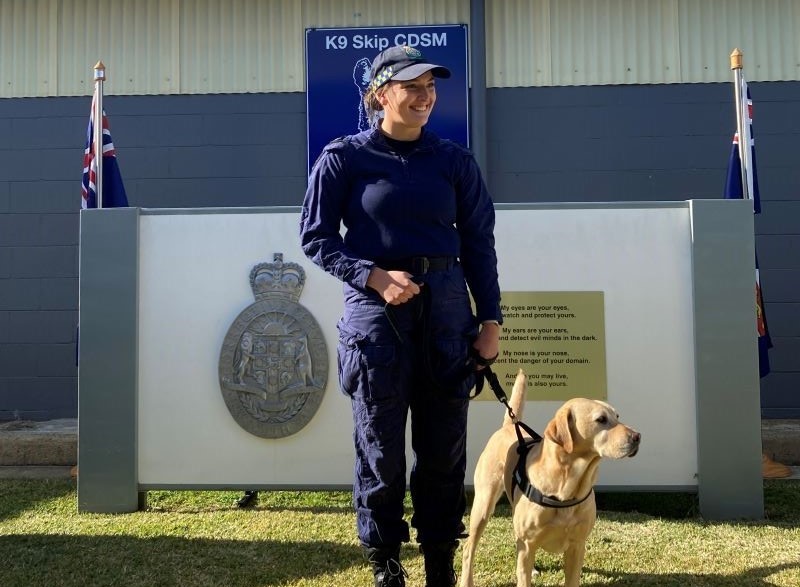 Woman handler and dog